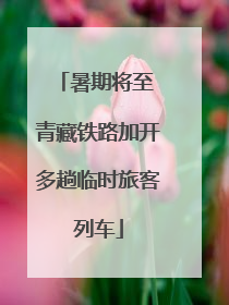 暑期将至 青藏铁路加开多趟临时旅客列车