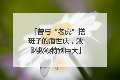 曾与“老虎”搭班子的潘世庆，敛财数额特别巨大