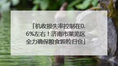 机收损失率控制在0.6%左右！济南市莱芜区全力确保粮食颗粒归仓