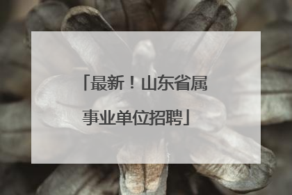 最新！山东省属事业单位招聘