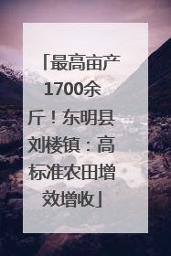 最高亩产1700余斤！东明县刘楼镇：高标准农田增效增收