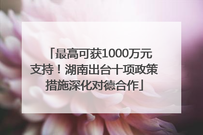 最高可获1000万元支持！湖南出台十项政策措施深化对德合作