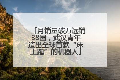月销量破万远销38国，武汉青年造出全球首款“床上跑”的机器人