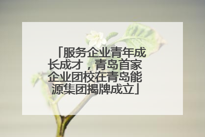 服务企业青年成长成才，青岛首家企业团校在青岛能源集团揭牌成立