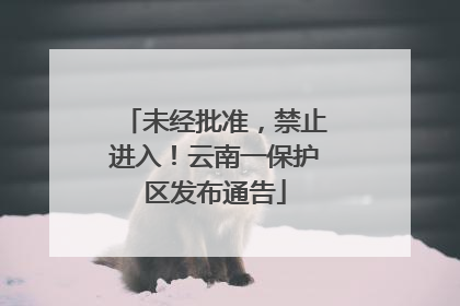 未经批准，禁止进入！云南一保护区发布通告