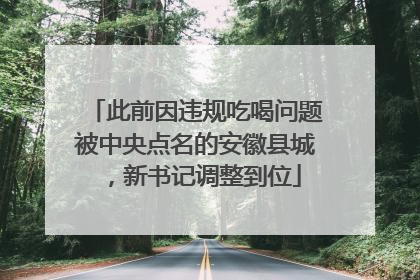 此前因违规吃喝问题被中央点名的安徽县城，新书记调整到位