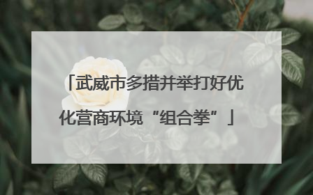 武威市多措并举打好优化营商环境“组合拳”