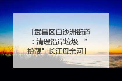 武昌区白沙洲街道：清理沿岸垃圾 “扮靓”长江母亲河