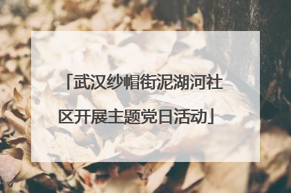 武汉纱帽街泥湖河社区开展主题党日活动