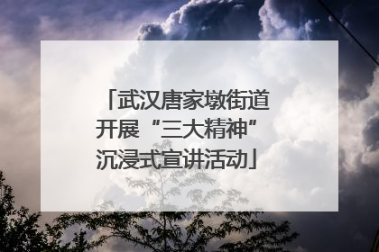 武汉唐家墩街道开展“三大精神”沉浸式宣讲活动