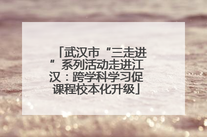 武汉市“三走进”系列活动走进江汉：跨学科学习促课程校本化升级