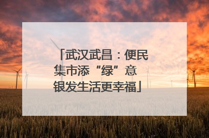 武汉武昌：便民集市添“绿”意 银发生活更幸福