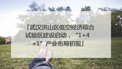 武汉洪山区低空经济综合试验区建设启动，“1+4+1”产业布局初现