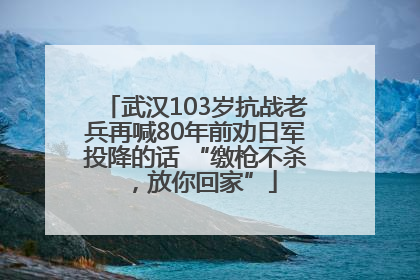 武汉103岁抗战老兵再喊80年前劝日军投降的话 “缴枪不杀，放你回家”