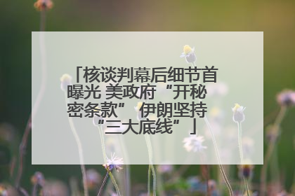核谈判幕后细节首曝光 美政府“开秘密条款” 伊朗坚持“三大底线”