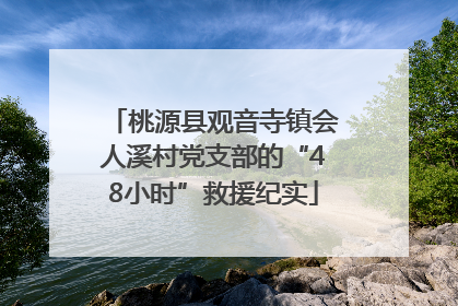 桃源县观音寺镇会人溪村党支部的“48小时”救援纪实