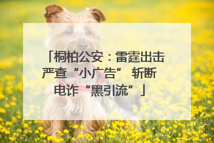 桐柏公安：雷霆出击严查“小广告” 斩断电诈“黑引流”