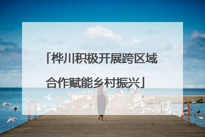 桦川积极开展跨区域合作赋能乡村振兴