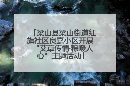 梁山县梁山街道红旗社区良嘉小区开展“艾草传情·粽暖人心”主题活动