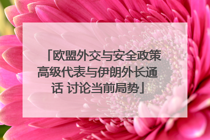 欧盟外交与安全政策高级代表与伊朗外长通话 讨论当前局势