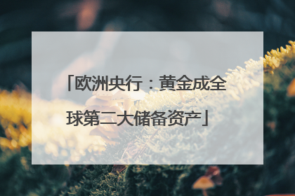 欧洲央行：黄金成全球第二大储备资产