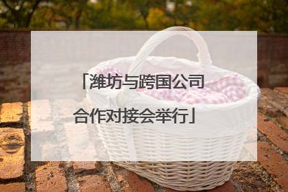 潍坊与跨国公司合作对接会举行