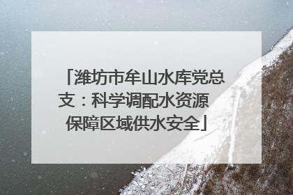 潍坊市牟山水库党总支：科学调配水资源 保障区域供水安全
