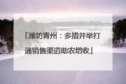 潍坊青州：多措并举打通销售渠道助农增收