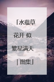 水蕴草花开 似繁星满天｜图集