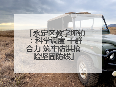 永定区教字垭镇：科学调度 干群合力 筑牢防洪抢险坚固防线
