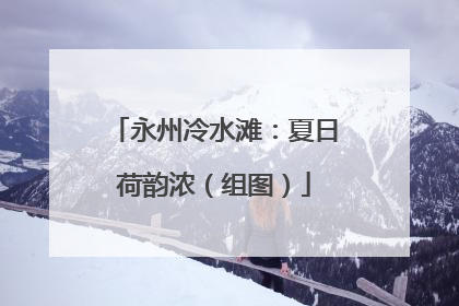永州冷水滩：夏日荷韵浓（组图）