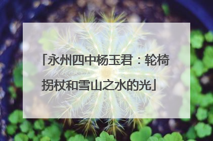 永州四中杨玉君：轮椅拐杖和雪山之水的光
