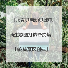 永春县启动县域电商生态圈打造暨跨境电商集聚区创建