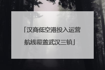 汉商低空港投入运营 航线覆盖武汉三镇