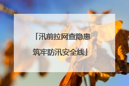 汛前拉网查隐患 筑牢防汛安全线