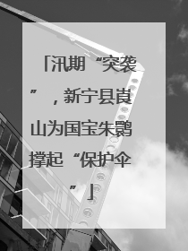 汛期“突袭”，新宁县崀山为国宝朱鹮撑起“保护伞”