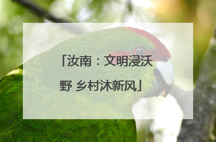 汝南：文明浸沃野 乡村沐新风