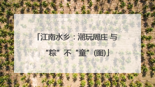 江南水乡：潮玩周庄 与“粽”不“童”(图)