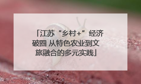 江苏“乡村+”经济破圈 从特色农业到文旅融合的多元实践