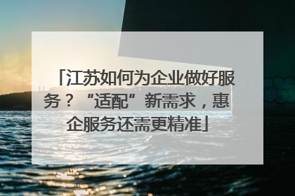 江苏如何为企业做好服务？“适配”新需求，惠企服务还需更精准