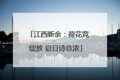 江西新余：荷花竞绽放 夏日诗意浓