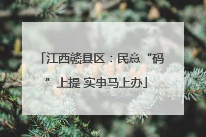 江西赣县区：民意“码”上提 实事马上办