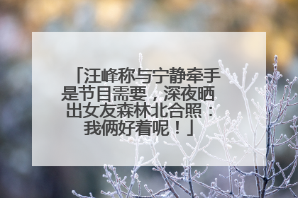 汪峰称与宁静牵手是节目需要，深夜晒出女友森林北合照：我俩好着呢！