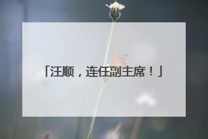 汪顺，连任副主席！