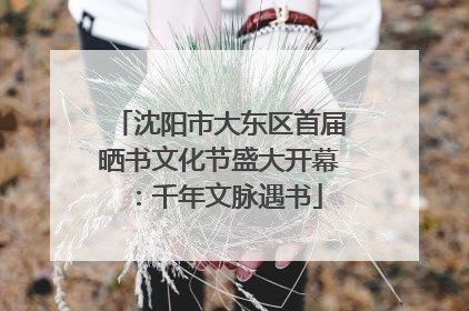 沈阳市大东区首届晒书文化节盛大开幕：千年文脉遇书