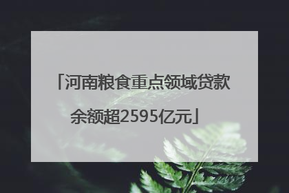 河南粮食重点领域贷款余额超2595亿元