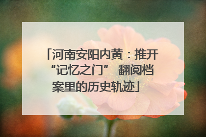 河南安阳内黄：推开“记忆之门” 翻阅档案里的历史轨迹