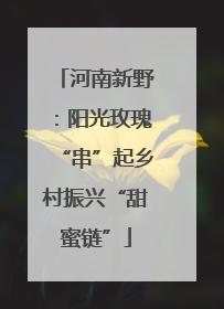 河南新野：阳光玫瑰“串”起乡村振兴“甜蜜链”