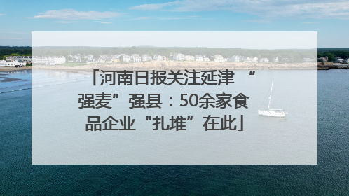 河南日报关注延津 “强麦”强县：50余家食品企业“扎堆”在此