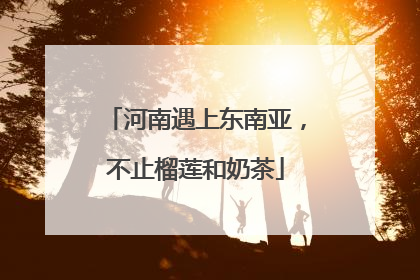 河南遇上东南亚，不止榴莲和奶茶